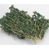 Trains|Bachmann 32643 HO Dark Green Wire Foliage (100+) - Model Train Junction: Quality Parts and Art Supplies