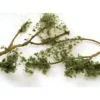 Trains|Bachmann 32644 Scene Scapes Medium Green Wire Foliage Branches (Set of 60) - Model Train Junction: Quality Parts and Art Supplies