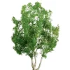 Trains|JTT Scenery Products 96014 HO And N 4" Professional Snow Gum Tree (Box of 2) - Model Train Junction: Quality Parts and Art Supplies