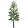 Trains|JTT Scenery Products 96026 HO 6" Professional Pine Tree - Model Train Junction: Quality Parts and Art Supplies