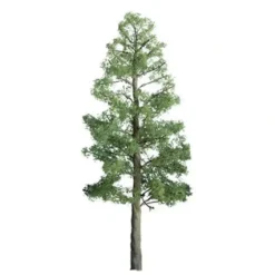 Trains|JTT Scenery Products 96026 HO 6" Professional Pine Tree - Model Train Junction: Quality Parts and Art Supplies