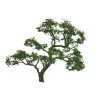 Trains|JTT Scenery Products 96059 HO 4" Professional Beech Tree - Model Train Junction: Quality Parts and Art Supplies