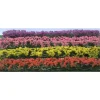 Trains|JTT Scenery Products 95510 HO 5" x 3/8" x 5/8" Flower Hedges (Pack of 8) - Model Train Junction: Quality Parts and Art Supplies