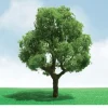 Trains|JTT Scenery Products 92301 HO 3-3.5" Pro-Elite Deciduous Tree (Pack of 2) - Model Train Junction: Quality Parts and Art Supplies