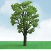 Trains|JTT Scenery Products 92309 N 3.5-4" Pro-Elite Birch Tree (Pack of 2) - Model Train Junction: Quality Parts and Art Supplies