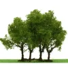 Trains|JTT Scenery Products 92303 N 3-3.5" Pro-Elite Privet Tree - Model Train Junction: Quality Parts and Art Supplies