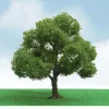 Trains|JTT Scenery Products 92304 N 3-3.5" Pro-Elite Elder Tree (Pack of 2) - Model Train Junction: Quality Parts and Art Supplies