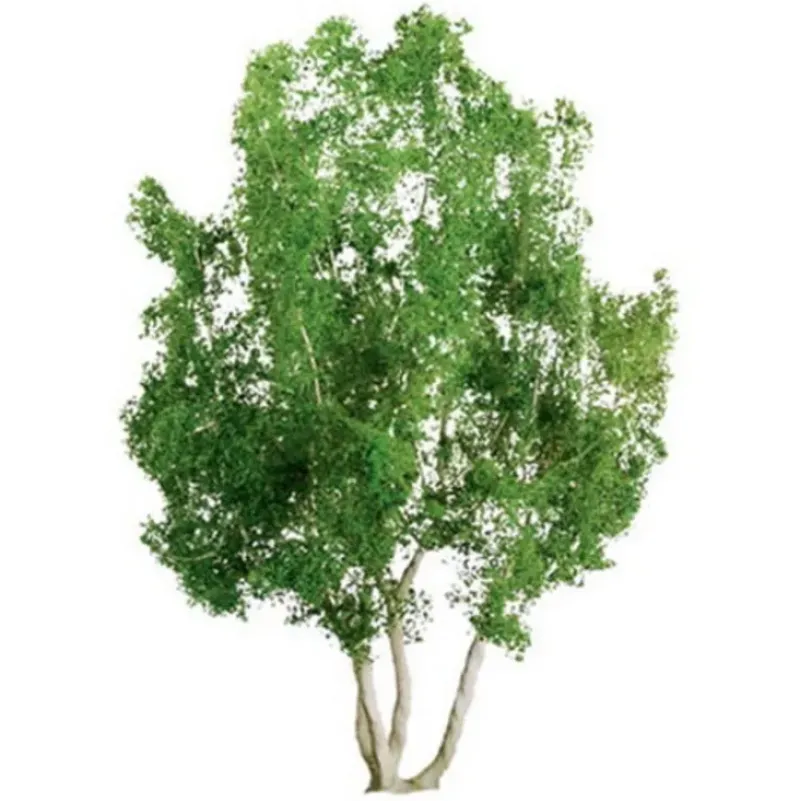 Trains|JTT Scenery Products 94258 N 3" Professional Snow Gum Tree, (Pack of 2) - Model Train Junction: Quality Parts and Art Supplies