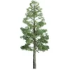 Trains|JTT Scenery Products 96027 O 8" Professional Tree Pine - Model Train Junction: Quality Parts and Art Supplies