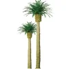 Trains|JTT Scenery Products 96045 O 8" Professional Phoenix Palm Tree - Model Train Junction: Quality Parts and Art Supplies