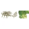 Trains|JTT Scenery Products 92019 Z 1.5-3" Premium Sycamore Tree (Pack of 30) - Model Train Junction: Quality Parts and Art Supplies