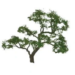 Trains|JTT Scenery Products 94429 Z 1.5" Professional Beech Tree (Pack of 4) - Model Train Junction: Quality Parts and Art Supplies