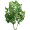 Trains|JTT Scenery Products 94256 Z 2" Professional Snow Gum Tree (Pack of 4) - Model Train Junction: Quality Parts and Art Supplies