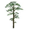 Trains|JTT Scenery Products 94433 Z 1.5" Professional Scots Pine Tree (Pack of 6) - Model Train Junction: Quality Parts and Art Supplies