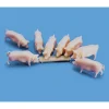 Trains*Modelscene 5108 HO PIGS & TROUGH - Model Train Junction: Quality Parts and Art Supplies