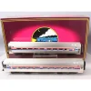 Trains*MTH 20-66142 Amtrak Premier Amfleet Passenger Car Set - Model Train Junction: Quality Parts and Art Supplies