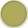 PanPastel, 26803, Artist Pastel, Bright Yellow Green Shade, 680.3 - Model Train Junction: Quality Parts and Art Supplies Hot
