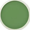 PanPastel, 26605, Artist Pastel, Chromium Green, 660.5 - Model Train Junction: Quality Parts and Art Supplies New