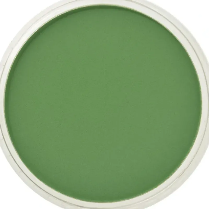 PanPastel, 26605, Artist Pastel, Chromium Green, 660.5 - Model Train Junction: Quality Parts and Art Supplies New