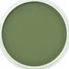 PanPastel, 26603, Artist Pastel, Chromium Green Shade, 660.3 - Model Train Junction: Quality Parts and Art Supplies Online