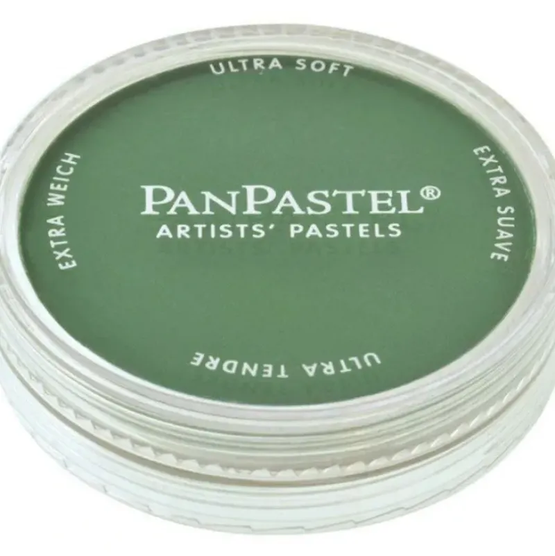 PanPastel, 26403, Artist Pastel, Permanent Green Shade, 640.3 - Model Train Junction: Quality Parts and Art Supplies Discount