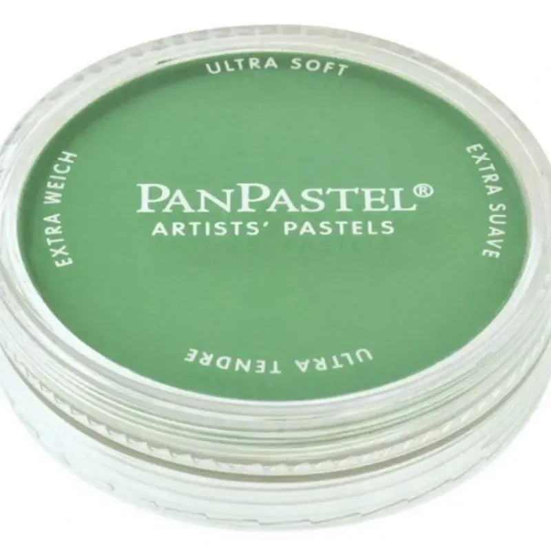 PanPastel, 26405, Artist Pastel, Permanent Green, 640.5 - Model Train Junction: Quality Parts and Art Supplies