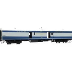 Trains*Rapido Trains 106199 HO Central of Georgia Baggage Express Car #456 - Model Train Junction: Quality Parts and Art Supplies