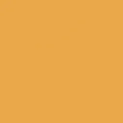 Tru-Color Paint, TCP-021, Airbrush Ready, Santa Fe Yellow, 1 oz - Model Train Junction: Quality Parts and Art Supplies Discount