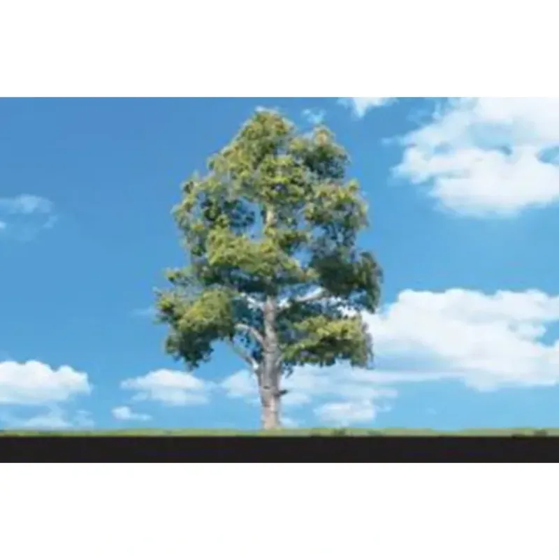 Woodland Scenics TR3535 4" - 5" Waters Edge Deciduous Trees (Pack of 3) - Model Train Junction: Quality Parts and Art Supplies Discount