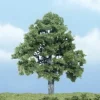 Woodland Scenics TR1615 4" Beech Ready-Made Premium Tree - Model Train Junction: Quality Parts and Art Supplies Sale