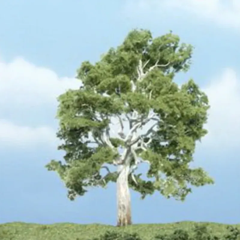 Woodland Scenics TR1609 3.87" Sycamore Ready-Made Premium Tree - Model Train Junction: Quality Parts and Art Supplies Online